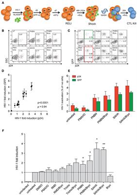 Antigen Production After Latency Reversal and Expression of Inhibitory Receptors in CD8+ T Cells Limit the Killing of HIV-1 Reactivated Cells